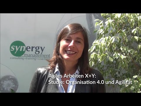 Organisation 4.0 und Agilität