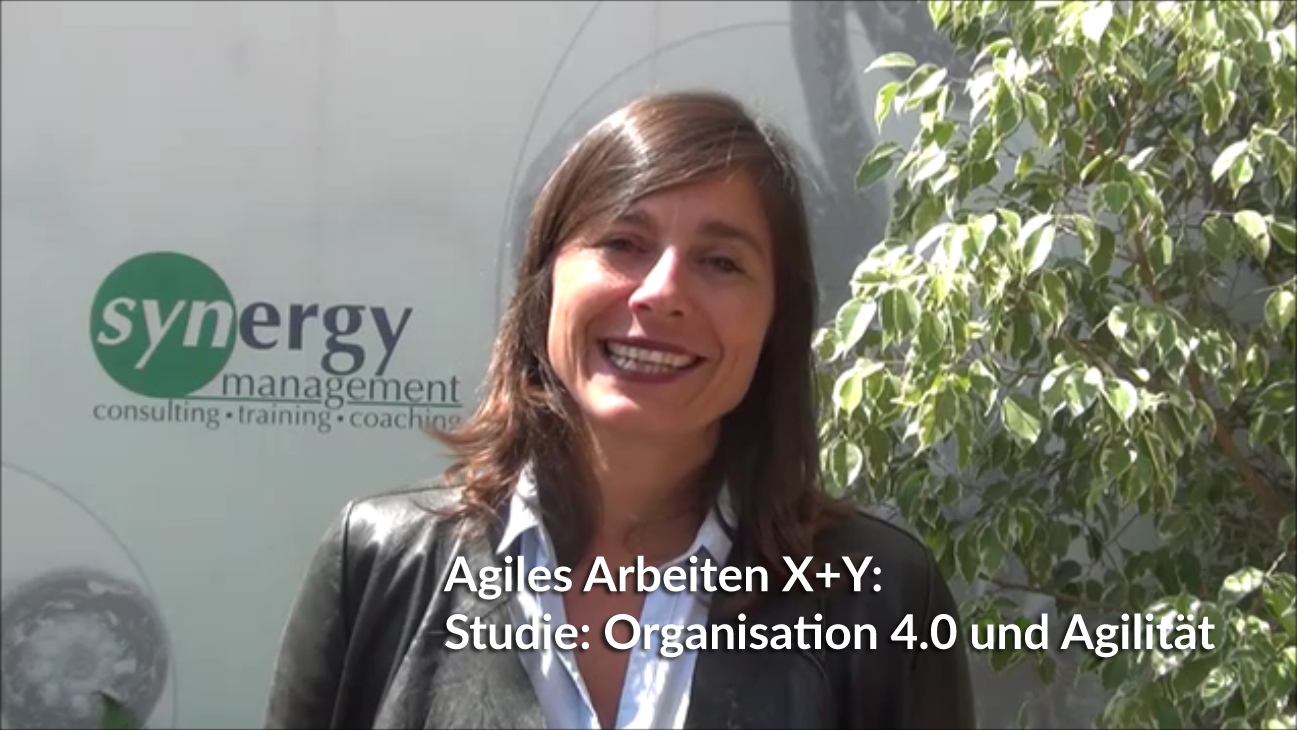Workshop: Agiles Arbeiten X+Y – Studie „Organisation 4.0 – Agilität“